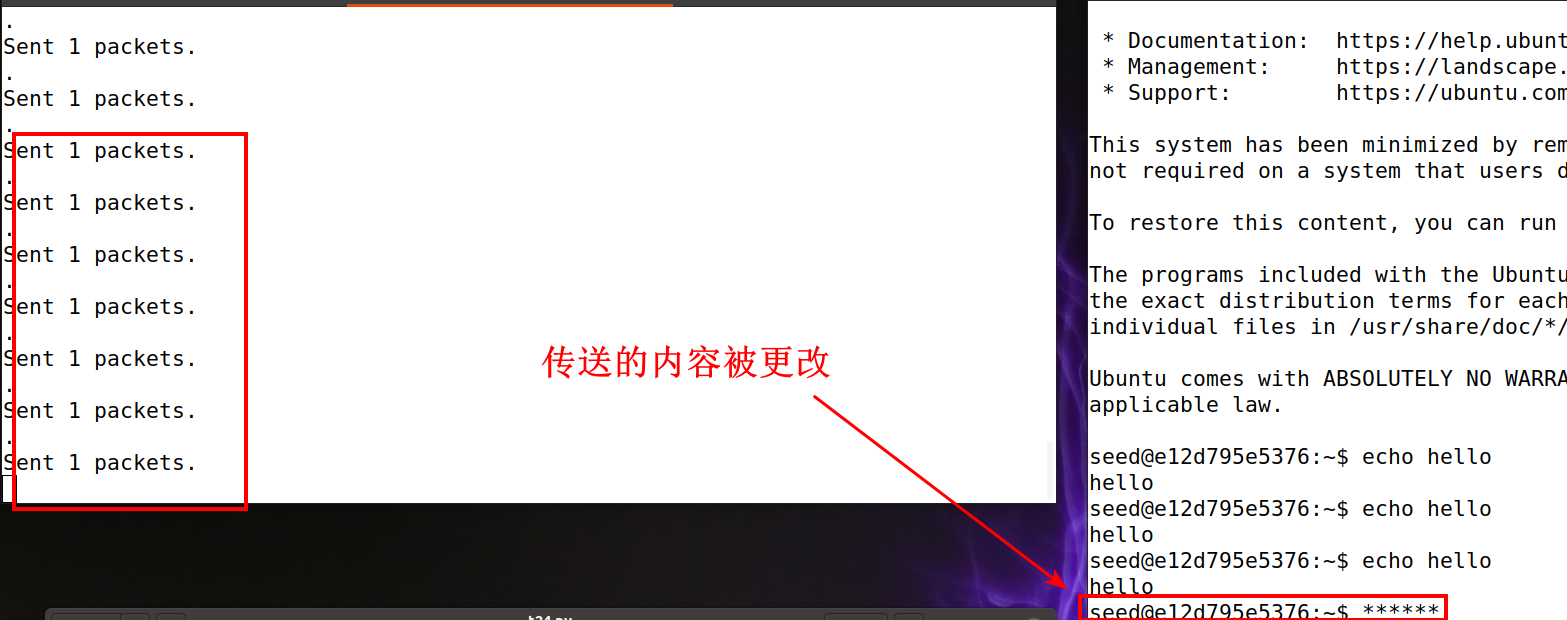 中间人攻击telnet协议成功