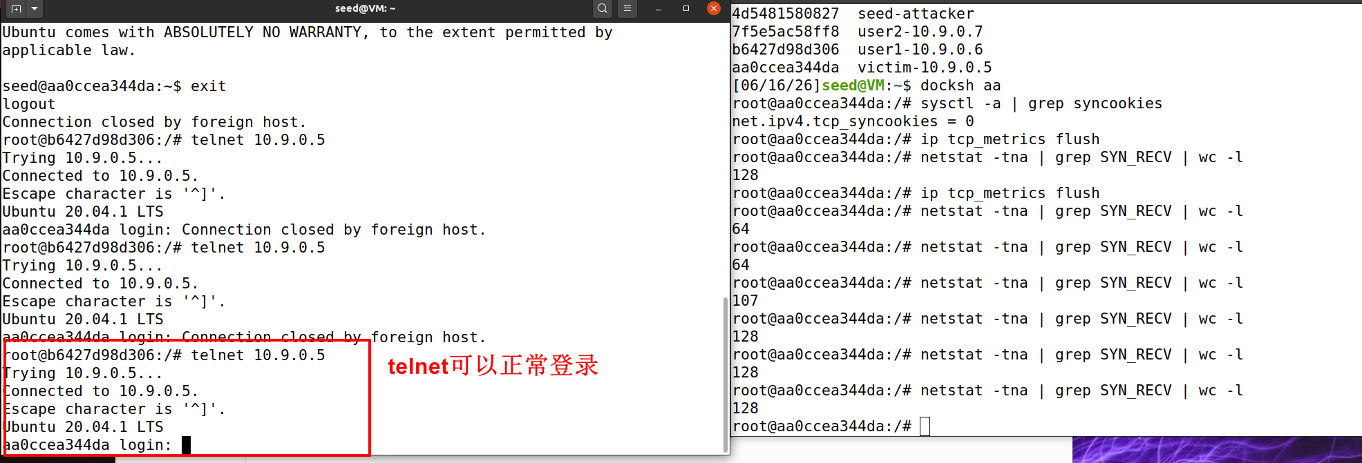 使用Python发起SYN泛洪攻击后尝试telnet连接
