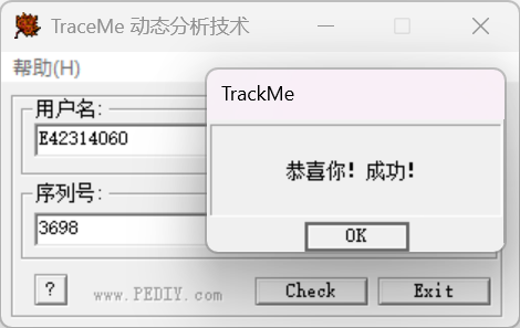 TraceMe程序成功验证